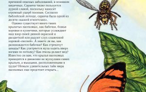 Стихи про насекомых для детей