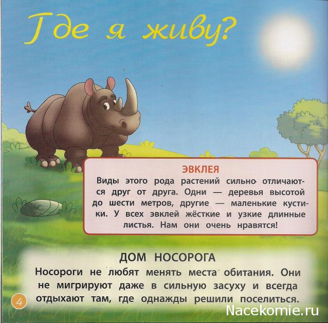 Стихи про носорога для детей