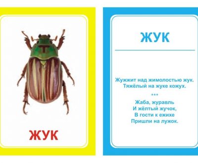 Стихи про жуков для детей