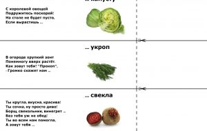 Загадки про растения для детей с ответами