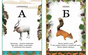 Названия животных по алфавиту