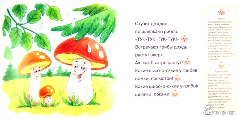 Короткие стихи про грибы