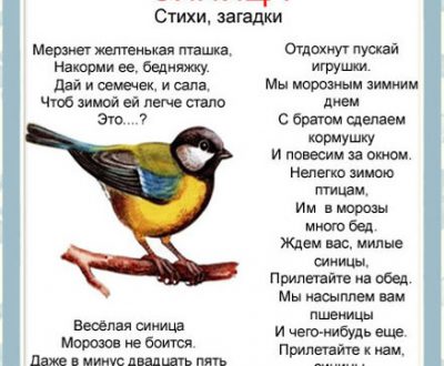 Стихи про птиц. Энциклопедия в стихах